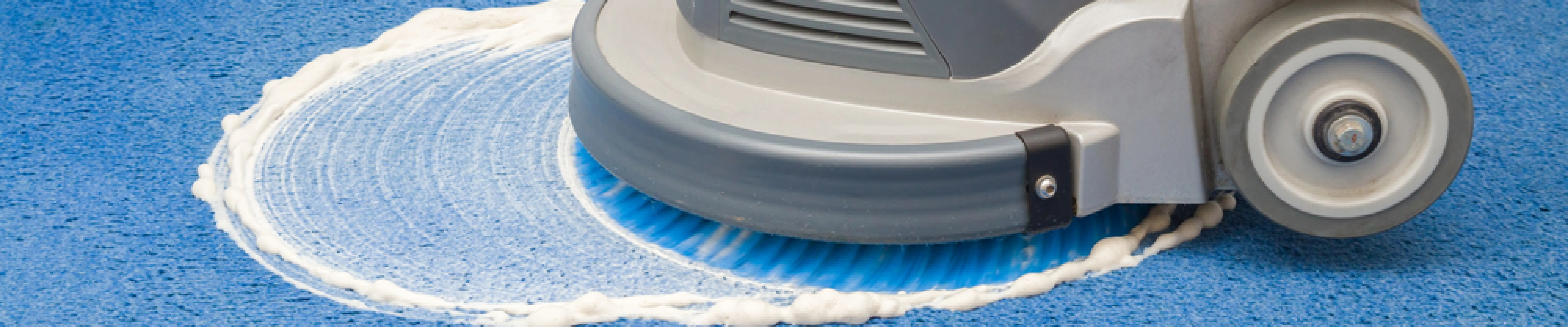 carpet cleaning in new jersey, carpet cleaning new jersey, carpet cleaners in new jersey, carpet cleaners in new jersey, commercial carpet cleaning, commercial carpet cleaning in new jersey, new jersey rug cleaners, rug cleaning services in new jersey, same day carpet cleaning, same day rug cleaning in new jersey, carpet cleaning in nj, carpet cleaning nj, carpet cleaners in nj, carpet cleaners in nj, commercial carpet cleaning, commercial carpet cleaning in nj, nj rug cleaners, rug cleaning services in nj, same day carpet cleaning, same day rug cleaning in nj