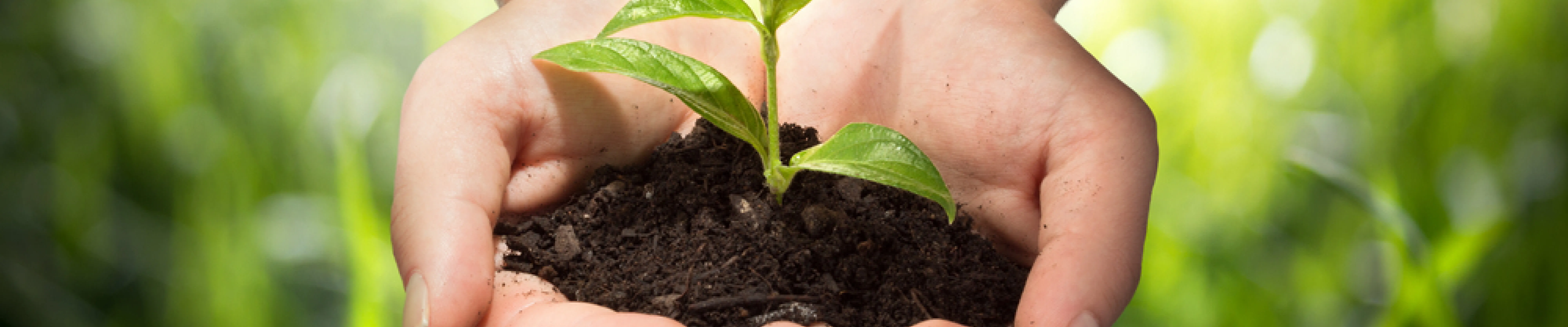 carpet cleaning in new jersey, carpet cleaning new jersey, carpet cleaners in new jersey, carpet cleaners in new jersey, commercial carpet cleaning, commercial carpet cleaning in new jersey, new jersey rug cleaners, rug cleaning services in new jersey, same day carpet cleaning, same day rug cleaning in new jersey, carpet cleaning in nj, carpet cleaning nj, carpet cleaners in nj, carpet cleaners in nj, commercial carpet cleaning, commercial carpet cleaning in nj, nj rug cleaners, rug cleaning services in nj, same day carpet cleaning, same day rug cleaning in nj