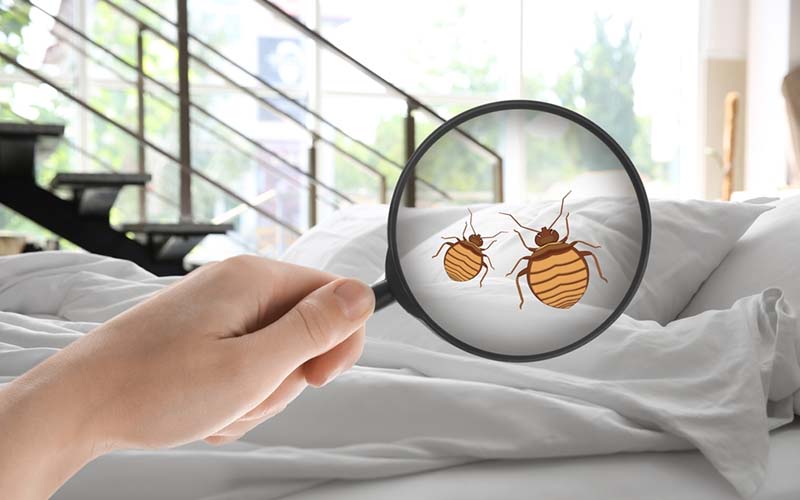 carpet cleaning in new jersey, carpet cleaning new jersey, carpet cleaners in new jersey, carpet cleaners in new jersey, commercial carpet cleaning, commercial carpet cleaning in new jersey, new jersey rug cleaners, rug cleaning services in new jersey, same day carpet cleaning, same day rug cleaning in new jersey, carpet cleaning in nj, carpet cleaning nj, carpet cleaners in nj, carpet cleaners in nj, commercial carpet cleaning, commercial carpet cleaning in nj, nj rug cleaners, rug cleaning services in nj, same day carpet cleaning, same day rug cleaning in nj